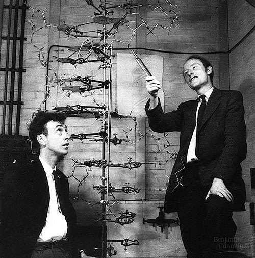 Watson, Crick und das DNA-Modell von 1953